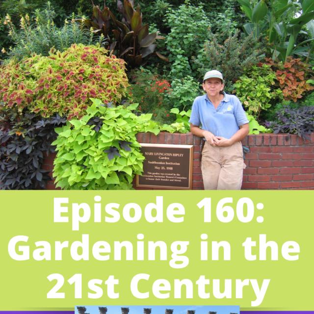 Gardening in the 21st Century with Janet Draper - podcast episode cover
