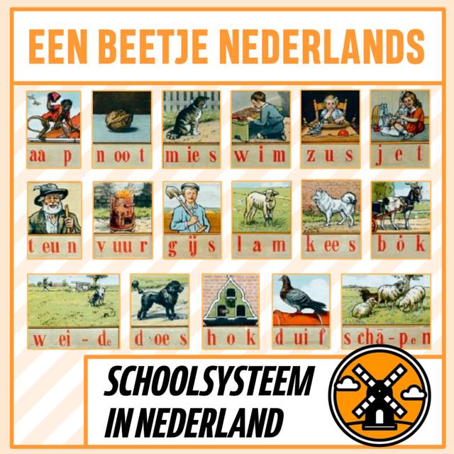 #17: Onderwijs in Nederland - podcast episode cover
