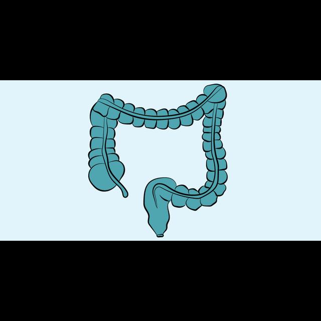 20. Screening for Colon Cancer / Colonoscopy - podcast episode cover
