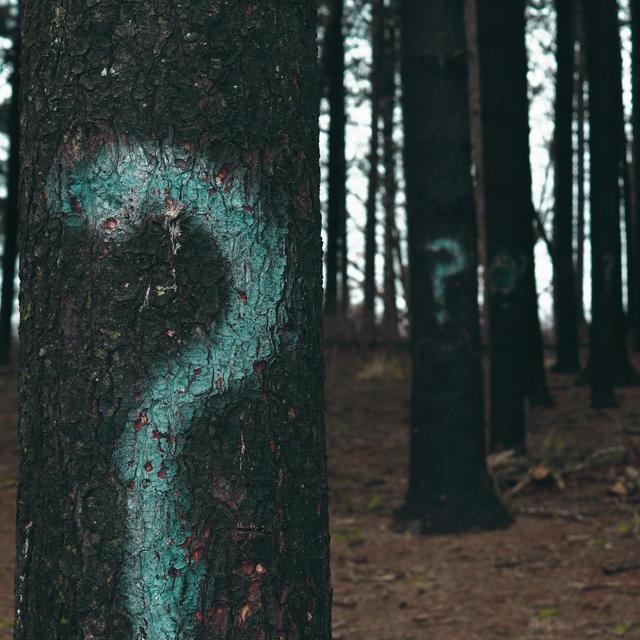 Ep. 90: Have A “Why” - podcast episode cover