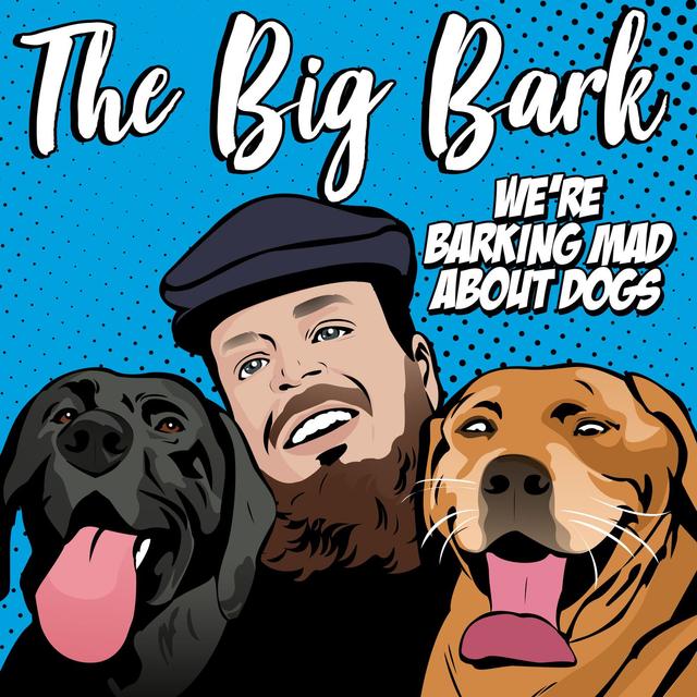 The Big Bark #15 - Chats with the Cork Nose Robert the greyhound - podcast episode cover