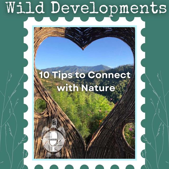 10 Tips to Connect with Nature - podcast episode cover