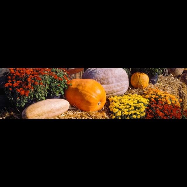 Gratitude and Abundance - podcast episode cover