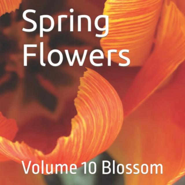 Spring Flowers Volume 10 Blossom by Daniel Lucas - podcast episode cover
