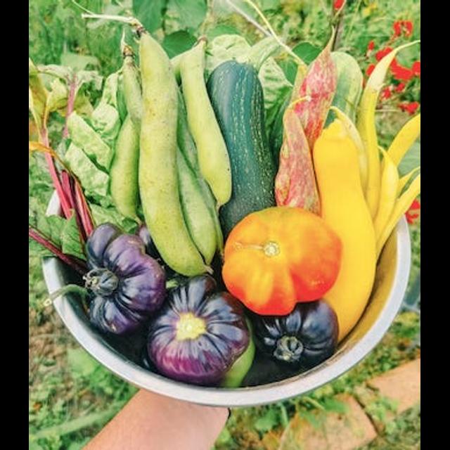 The Art of Sustainable Small Space Gardening - podcast episode cover