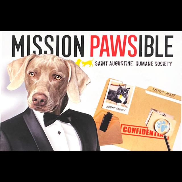 The Year-End Appeal...It's Not Impawsible - podcast episode cover