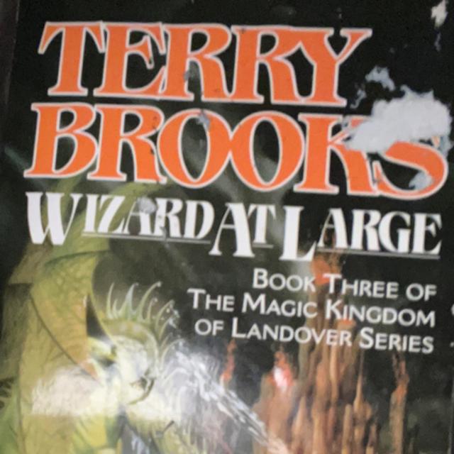 Reading a little Wizard At Large by Terry Brooks - podcast episode cover