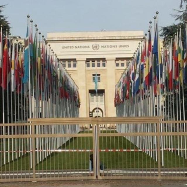 Gallivanting in Geneva - podcast episode cover