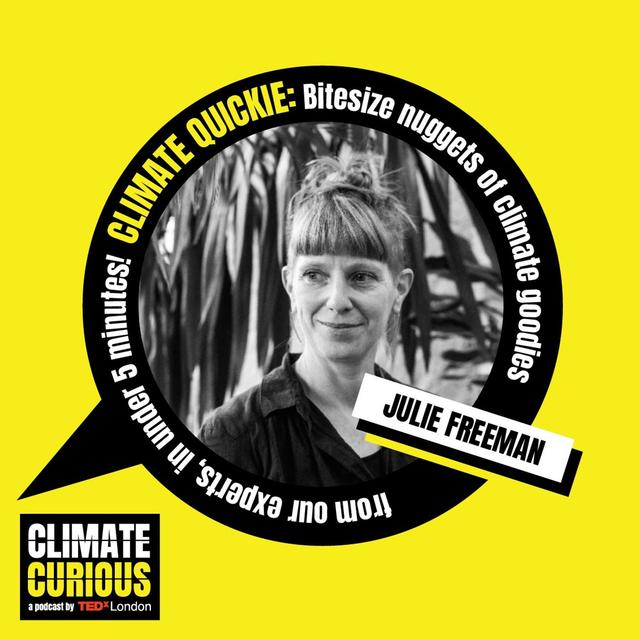 Climate Quickie: The hidden beauty in climate data - podcast episode cover