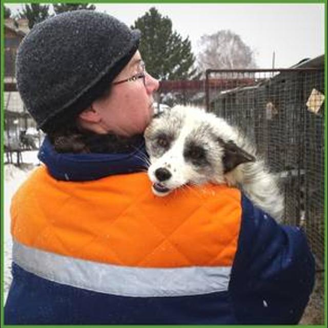 Jessica Hekman: Functional Dog Collaborative, part 2 [Episode 173] - podcast episode cover
