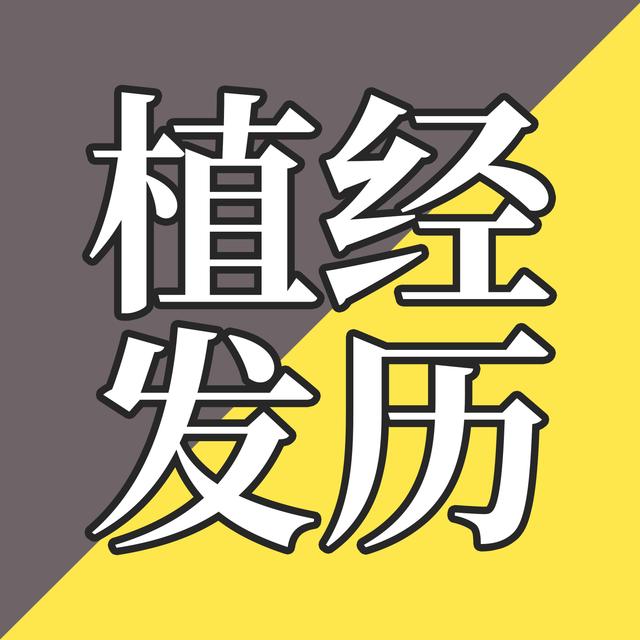EP44-街森的头发保卫战 - podcast episode cover