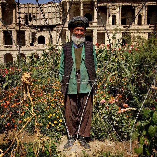 Gardening in war - podcast episode cover