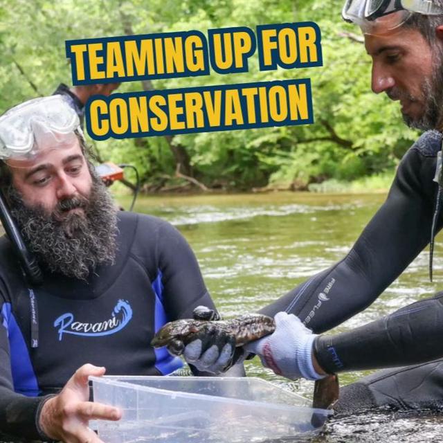 TW 399 - Teaming Up For Conservation - podcast episode cover