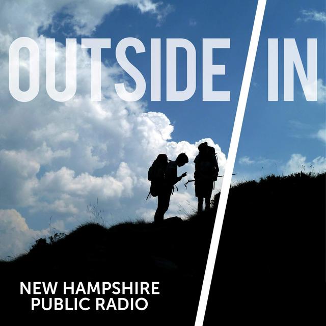 How Wild Presents: "The New Space Race" from Outside/In - podcast episode cover