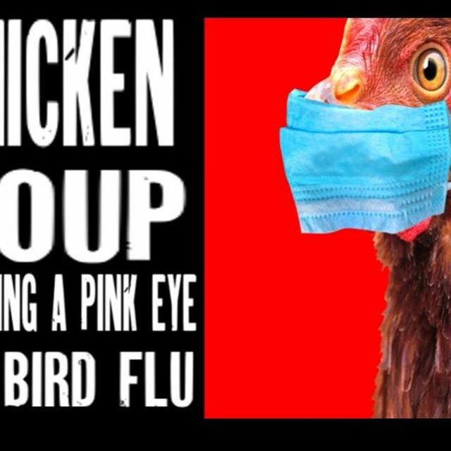 Show sample for 5/6/24: CHICKEN COUP – TURNING A PINK EYE - podcast episode cover