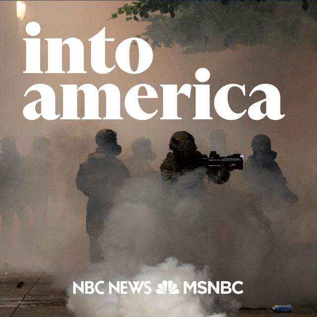 Into the Federal Response to Chicago’s Violence - podcast episode cover
