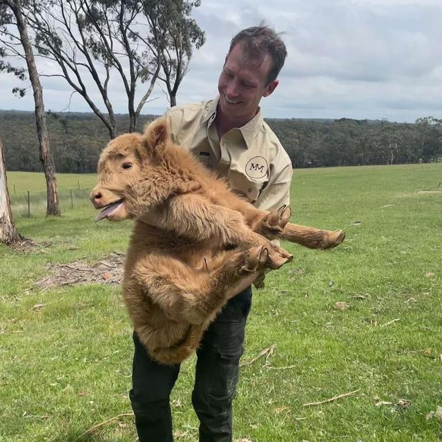 Incremental Gains in Footy and Farming with Dylan Grimes - podcast episode cover