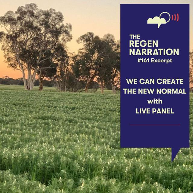 161 Excerpt. We Can Create a New Normal: Live panel launch for Regenerating Investment in Food & Farming - podcast episode cover
