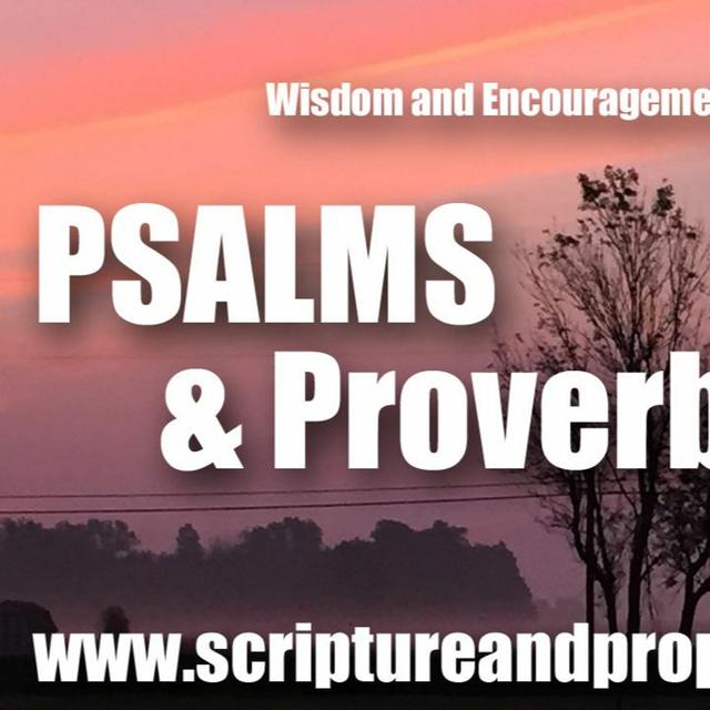 Psalm 38, Ecclesiastes 5 & Wisdom 6 : I Will Be Sorry For My Sin - podcast episode cover