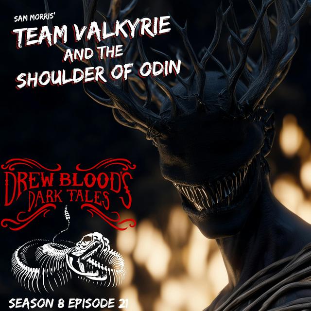 S8E21 - "Team Valkyrie and the Shoulder of Odin" - Drew Blood - podcast episode cover