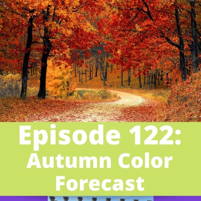 Autumn Color Forecast - podcast episode cover
