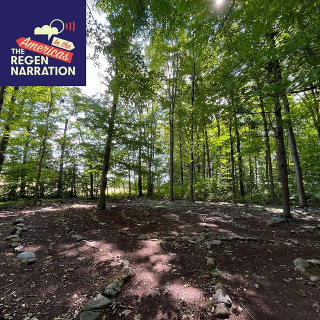 The Land Whisperer, Part 3: From the woodland labryrinth to the Farmhouse that replaced McDonald's - podcast episode cover
