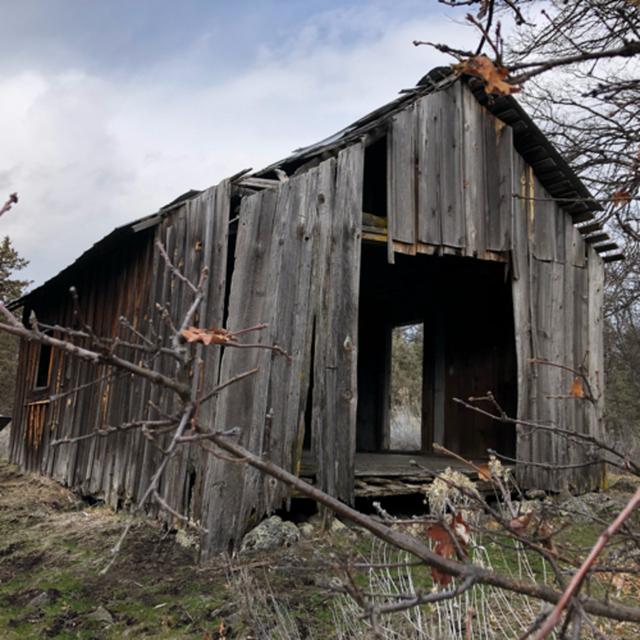 Bonus! Ahjumawi Lava Springs State Park- Early Morning Light Rain in the Old Cabin at Crystal Springs - podcast episode cover