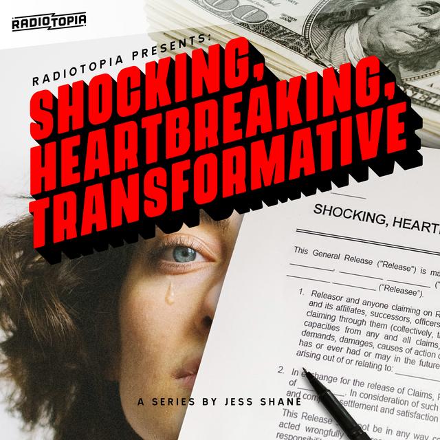 Shocking, Heartbreaking, Transformative 4 - Feedback - podcast episode cover
