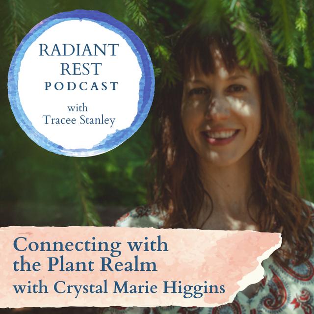 Connecting with the Plant Realm with Crystal Marie Higgins - podcast episode cover