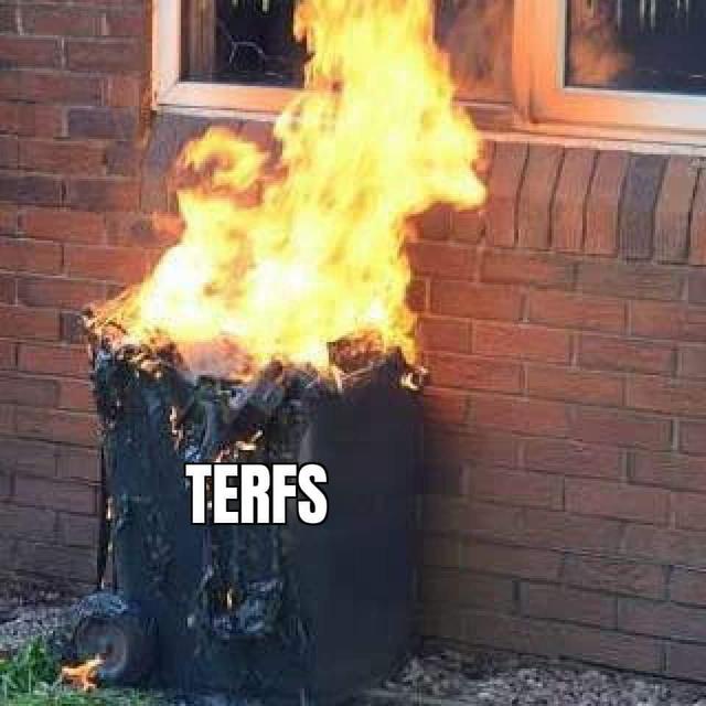 TERF Wars - podcast episode cover