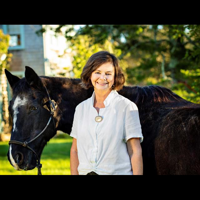 'I got obsessed with horses' — Geraldine Brooks on her novel Horse - podcast episode cover
