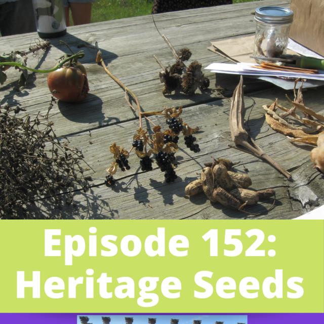 Heritage Seeds - podcast episode cover