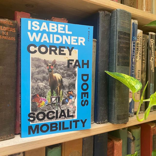 On Writing, Wormholes, and Wasted Opportunities, with Isabel Waidner - podcast episode cover