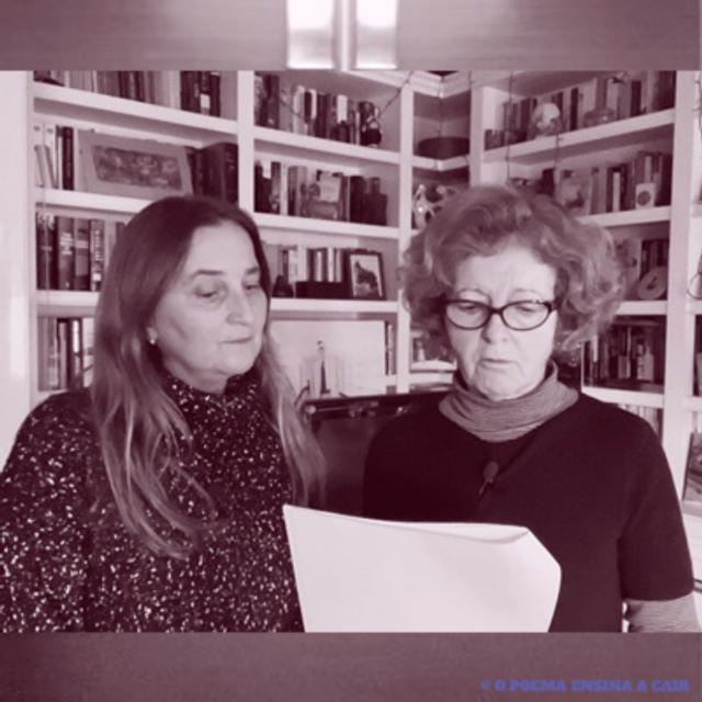 Maria José Morgado - podcast episode cover