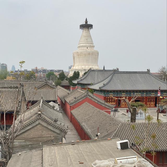 人口が多すぎると嘆いたのは過去！中国でも少子化が急激に進んでいます。出生率は今や日本以下なんです。 - podcast episode cover