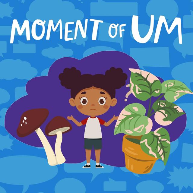 Why are we more closely related to fungi than plants? - podcast episode cover