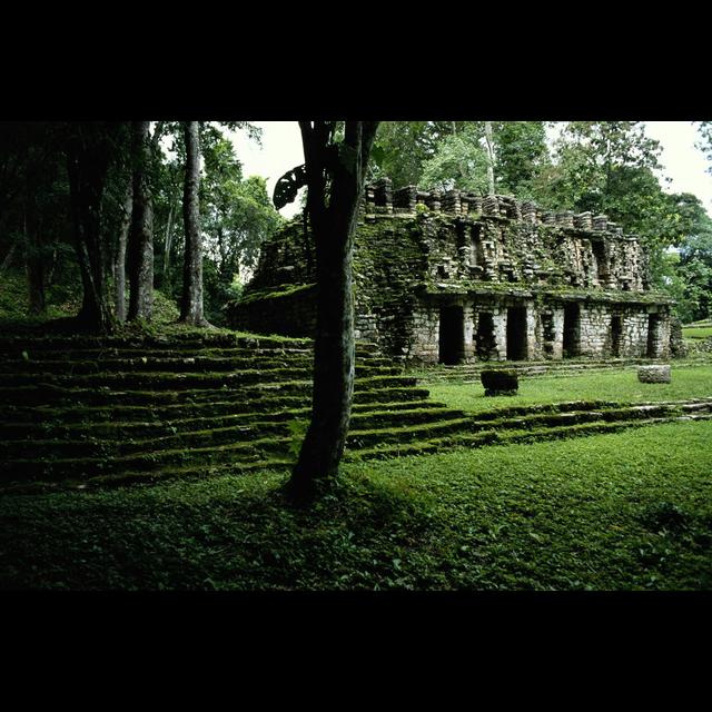 Scanning Ancient Civilizations from the Skies - podcast episode cover