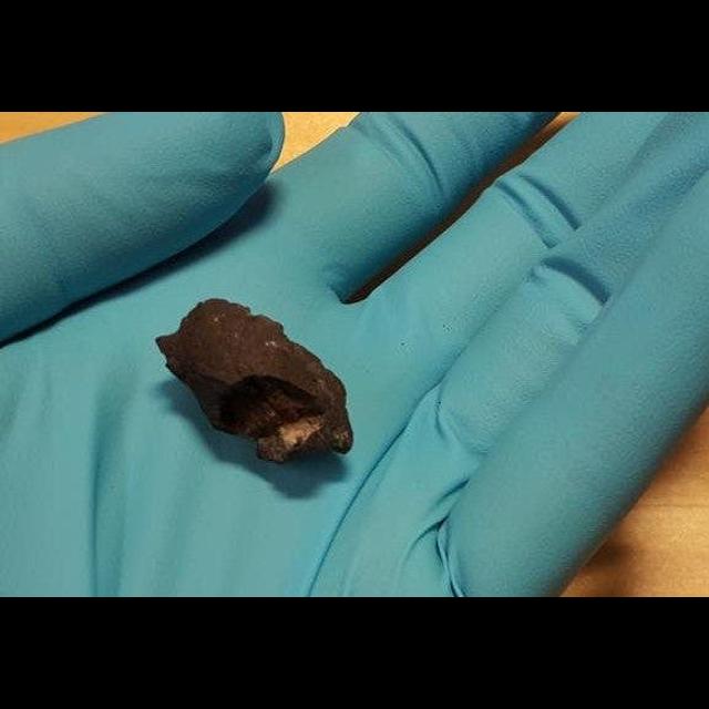 Ancient Gum Gives Archaeologists Something to Chew On - podcast episode cover