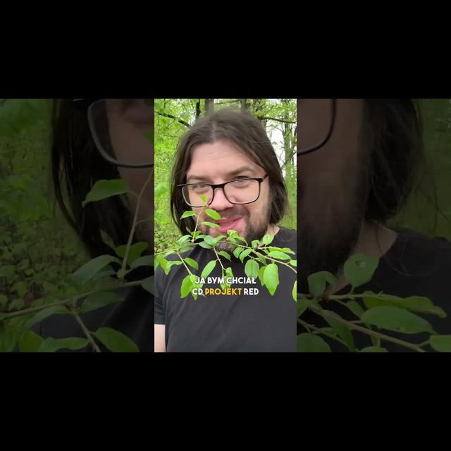 🐺 Uważaj na potwory w sieci - podcast episode cover