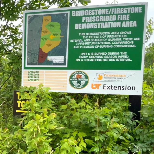 TW 358 - Bridgestone Firestone WMA's Commitment to Wildlife - podcast episode cover