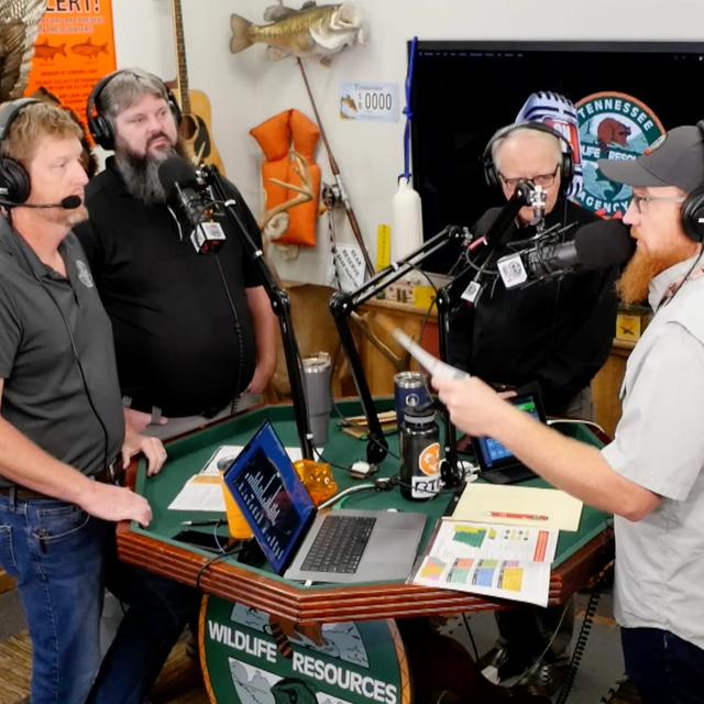 TW 359 - Unit CWD Changes & Updates For Tennessee Hunters - podcast episode cover