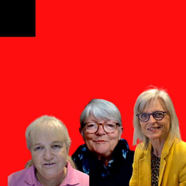 The Bobath Clinical Reasoning Framework | Margaret Mayston, Sarah Foley & Gillian Saloojee | DMCN - podcast episode cover