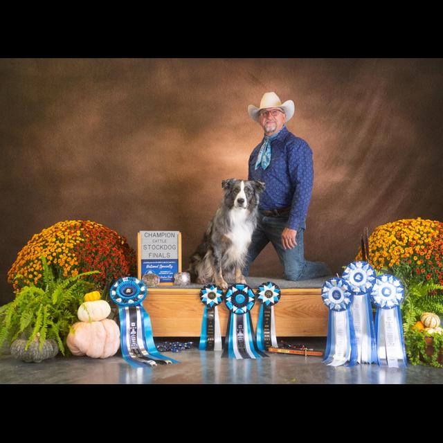 True Versatility - Working Ranch dogs - Winning Trial dogs with Tom Collins - podcast episode cover