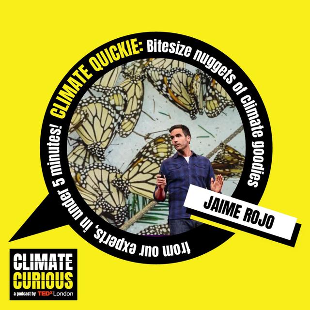 Climate Quickie: Why photography is a powerful climate storytelling tool - podcast episode cover