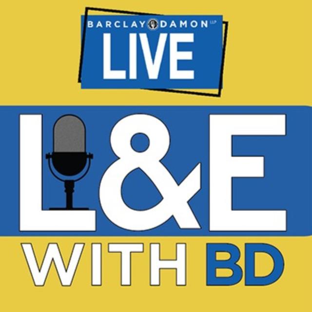 “Untangling the Web of Leave Issues Under ADA, FMLA, and Related Laws, Part 2,” With Scott Rogoff - podcast episode cover