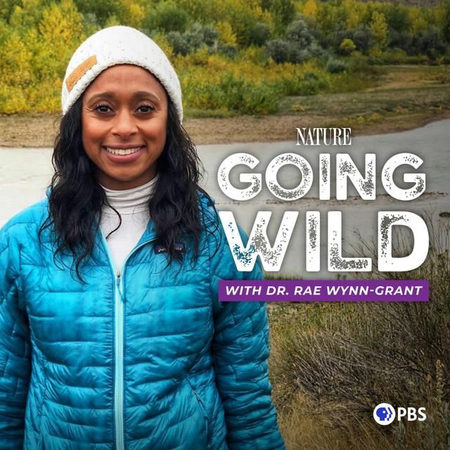 What Is the Most Successful Species on Earth? From NHPR: Outside/In - podcast episode cover