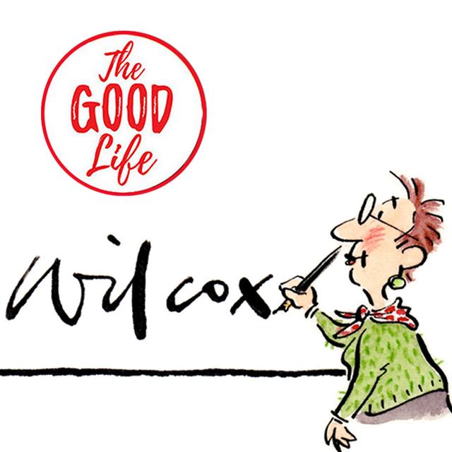 159. Cathy Wilcox on cartoons, chance & change - podcast episode cover