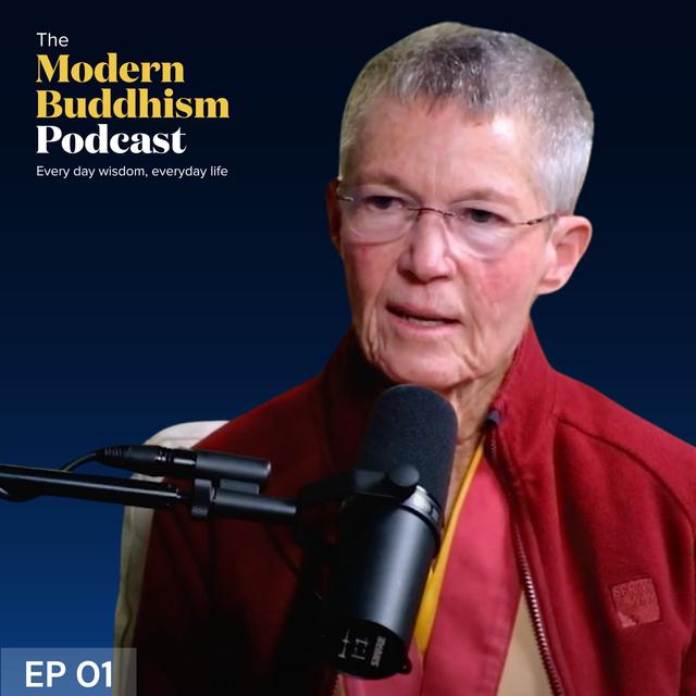 Buddhist Nun Witnesses 100s Of Deaths - What Did She Learn? - podcast episode cover