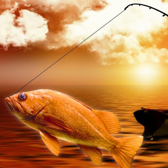 The Fisherman and His Wife - podcast episode cover
