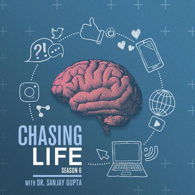 How Much Screen Time is Too Much? - podcast episode cover